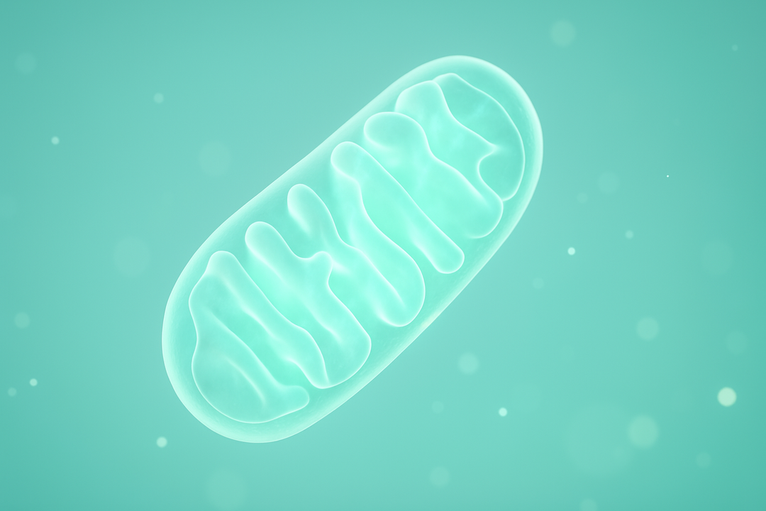 Why is interest in NMN and NAD+ exploding in 2025?