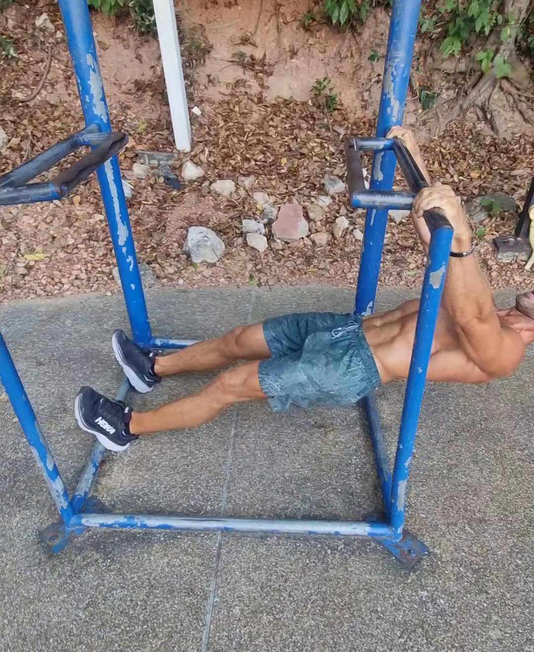 Treningsprotokoll - Guide for effektiv trening | Live Longer