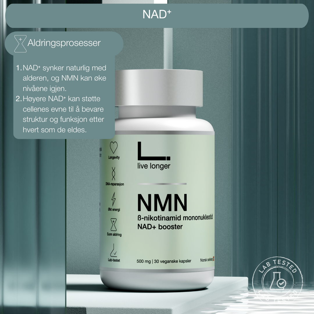 NMN og NAD+ støtter aldring