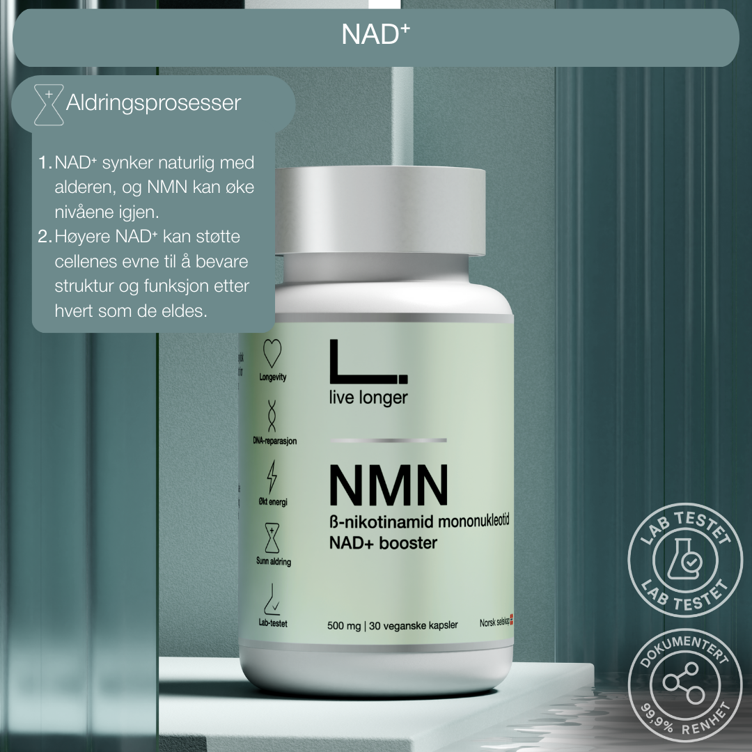 NMN NAD+ anti-aging antialdring - Live Longer