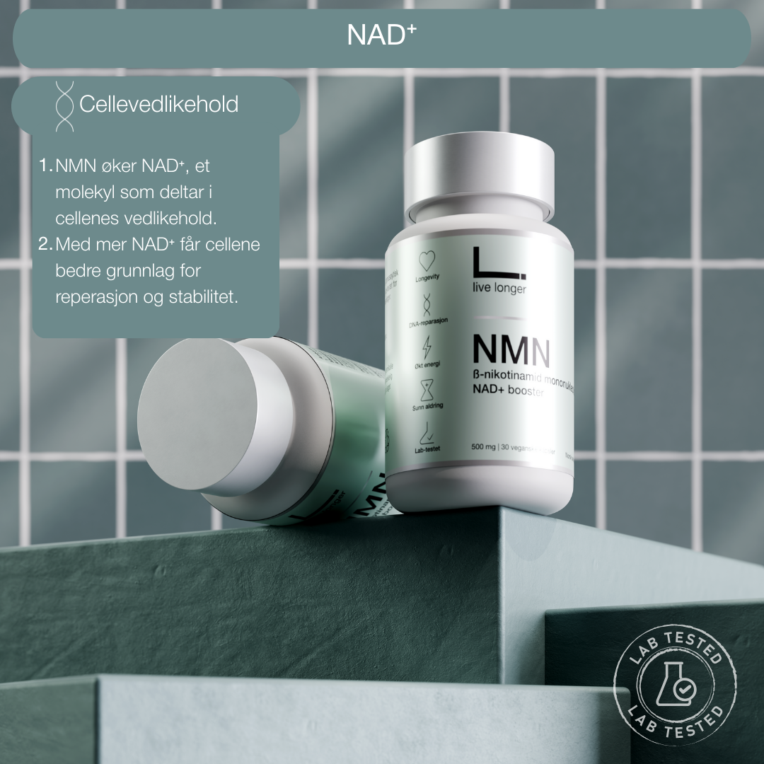 NMN og NAD+ forbedrer cellene