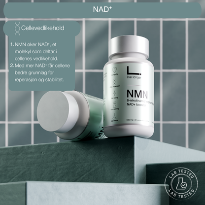 NMN og NAD+ forbedrer cellene