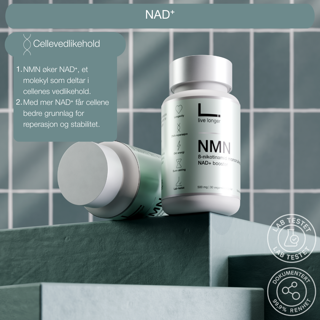 NMN NAD+ cellehelse - Live Longer