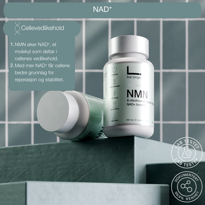 NMN NAD+ cellehelse - Live Longer