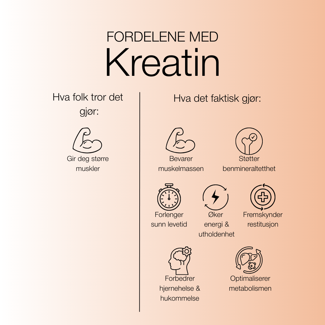 Kreatin fordeler - Live Longer