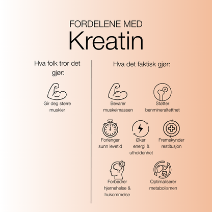 Kreatin fordeler - Live Longer